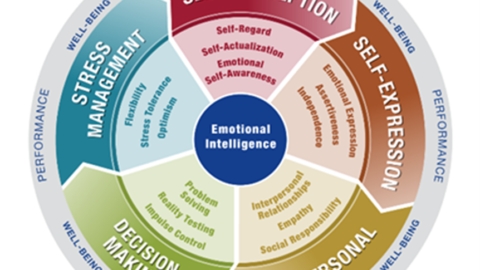 Circle graph describing Emotional and Social Functioning